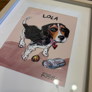 Caricaturas para Mascotas