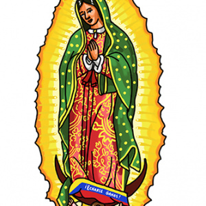 México #12 – Yo Inmigrante México – Guadalupe
