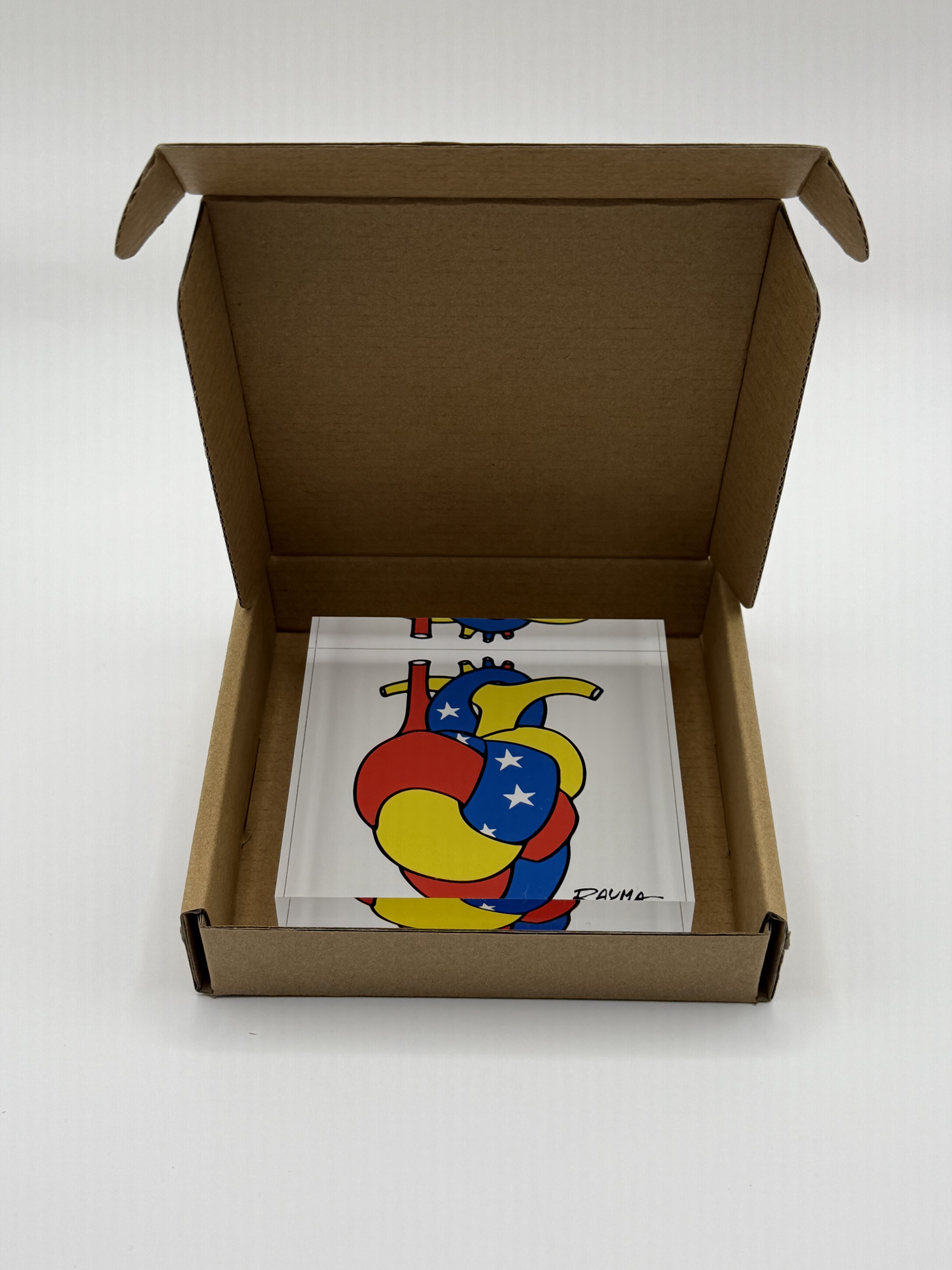 Corazón Venezuela - Image 5