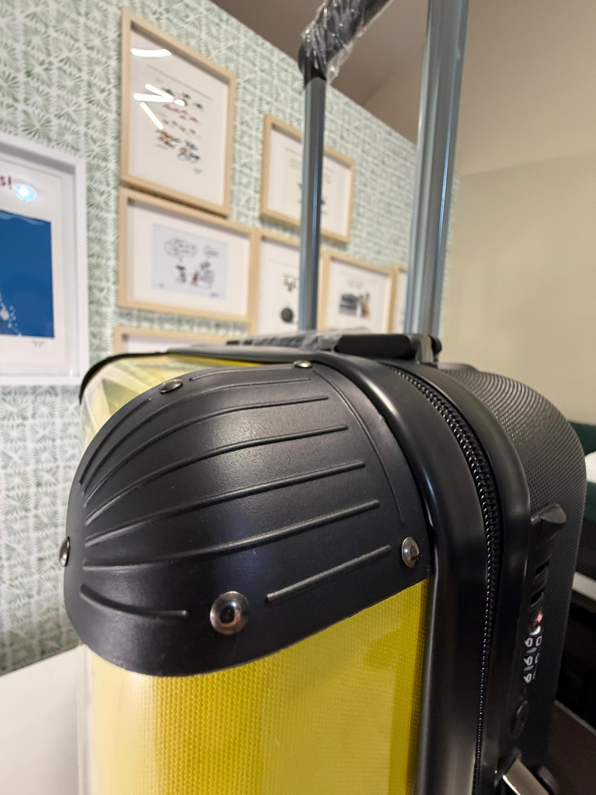 Maleta De Vuelta A Casa - Image 4