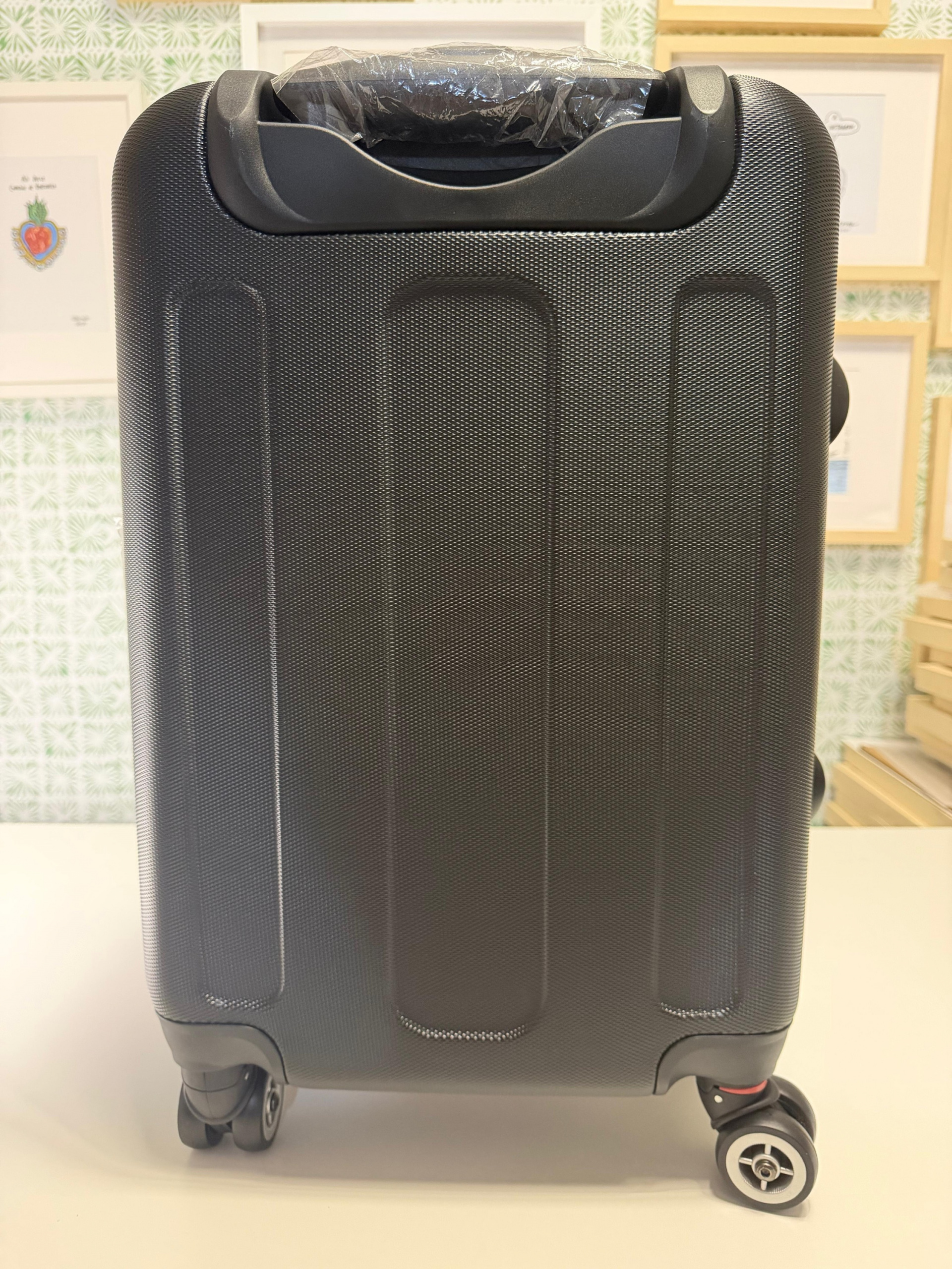 Maleta De Vuelta A Casa - Image 13